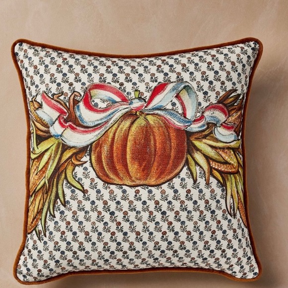 john derian Other - John Derian  decorative pillow.